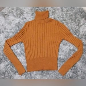 Zara Ribbed Turtleneck Sweater